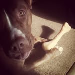 Jerry lindström - @jerrylindstrom.33 - Instagram