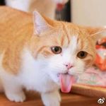 Jerry Ling - @jerryling_ - Instagram