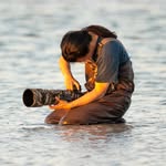Jerry Ling - @wadingbirder - Instagram