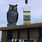 Jerry Litwin - @jerrylitwin4161 - Instagram