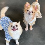 제리🧀 룽지🥐 - @jerry_loongz - Instagram