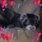 Jerry Louderback - @beckyjerryjune15 - Instagram