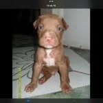 @jerrylovatojerry - Instagram