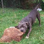 Jerry Vote Butta Lugo - @2_hunnit_bullies - Instagram