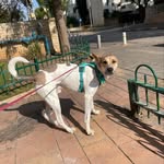 @jerrylu_sh - Instagram