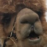 Jerry Jerry - @jerry_is_better_than_all_yall - Instagram