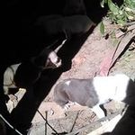 Jerry Mackey - @jerry.mackey.796 - Instagram