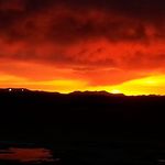 Jerry Mackey - @jerry.mackey.393 - Instagram