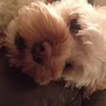 Jerry Mackinnon - @jerrymackinnon - Instagram