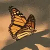 Jerry Maggie - @jerry.maggie91 - TikTok