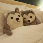 Jerry Mah - @jerry_mwk - Instagram