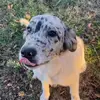 Jerry Maiden - @jerry.maiden7 - TikTok