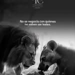 Leon Jerry Major - @jerry1965lm - Instagram