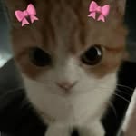 jerry C. makilang - @jerryc.makilang - Instagram