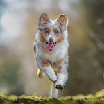 Jerry Mandella - @jerry_mandella - Instagram