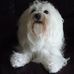 Jerry Mantooth - Facebook