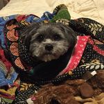 Jerry Maples Kenyon - @therealjerrymaples - Instagram