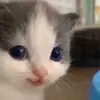 Jerry - @jerrymarek - TikTok