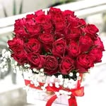 @jerrymarion2023 - Instagram