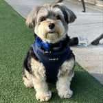 Jerry Mark Palumbo - @jerry.the.gentleman - Instagram