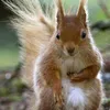 jerrymaus - @leckersmecker - TikTok