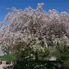 Jerry maxwell - @jerry.maxwell05 - TikTok