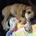 Jerry Mcadoo - Facebook