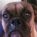Jerry McCool - @mccoolest06 - Instagram