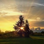 Jerry McCool - @luvshanggrinder - Instagram