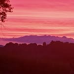 Patrick  Henry - @jerrymccool68 - Instagram