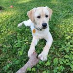 Jerry McCurdy - @jerry.mccurdy.39 - Instagram