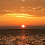 Jerry McIntosh - @jerry.mcintosh.313 - Instagram