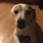 Jerry McNulty - @jdog_08012012 - Instagram