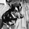 Jerry Mcnulty - @jerry.mcnulty - TikTok