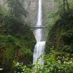 Jerry McNutt Media - @jerrymcnuttmedia - Instagram