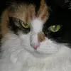 jerrywatermeier - @jerrywatermeier - TikTok