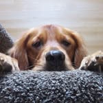 Michael Jerry Meier - @michaelmeier390 - Instagram