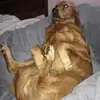 Michael Jerry Meier - @michaeljerrymeier - TikTok
