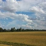 Jerry Midkiff - @midkiffjerry - Instagram