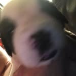 Jerry Miner - @jerryminer - Instagram