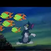 jerrymingoy - @jerrymingoy - TikTok