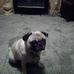 Jerry Misner - Facebook