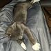 Jerry Misner - Facebook