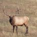 Jerry Moeller - Facebook