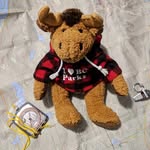 Jerry - @jerry.the.moose - Instagram