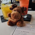 Jerry - @jerrythepartymoose - Instagram