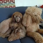 Jerry Morin - @jerrymorin - Instagram
