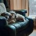 Jerry Morin - Facebook
