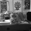 Jerry Moyer - @jerry.moyer7 - TikTok