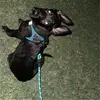 Jerry Mullis - @jerry.mullis - TikTok